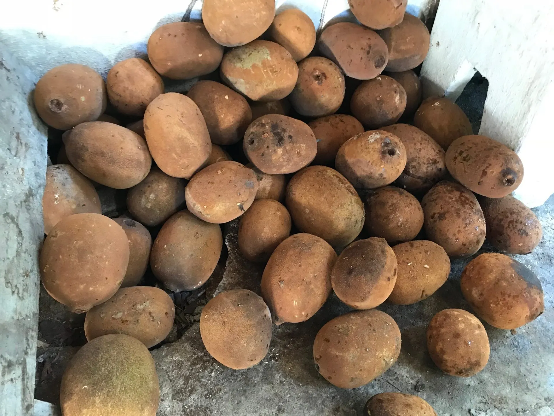 Sítio à venda de 85 ha em Rio de Janeiro, RJ, Brasil