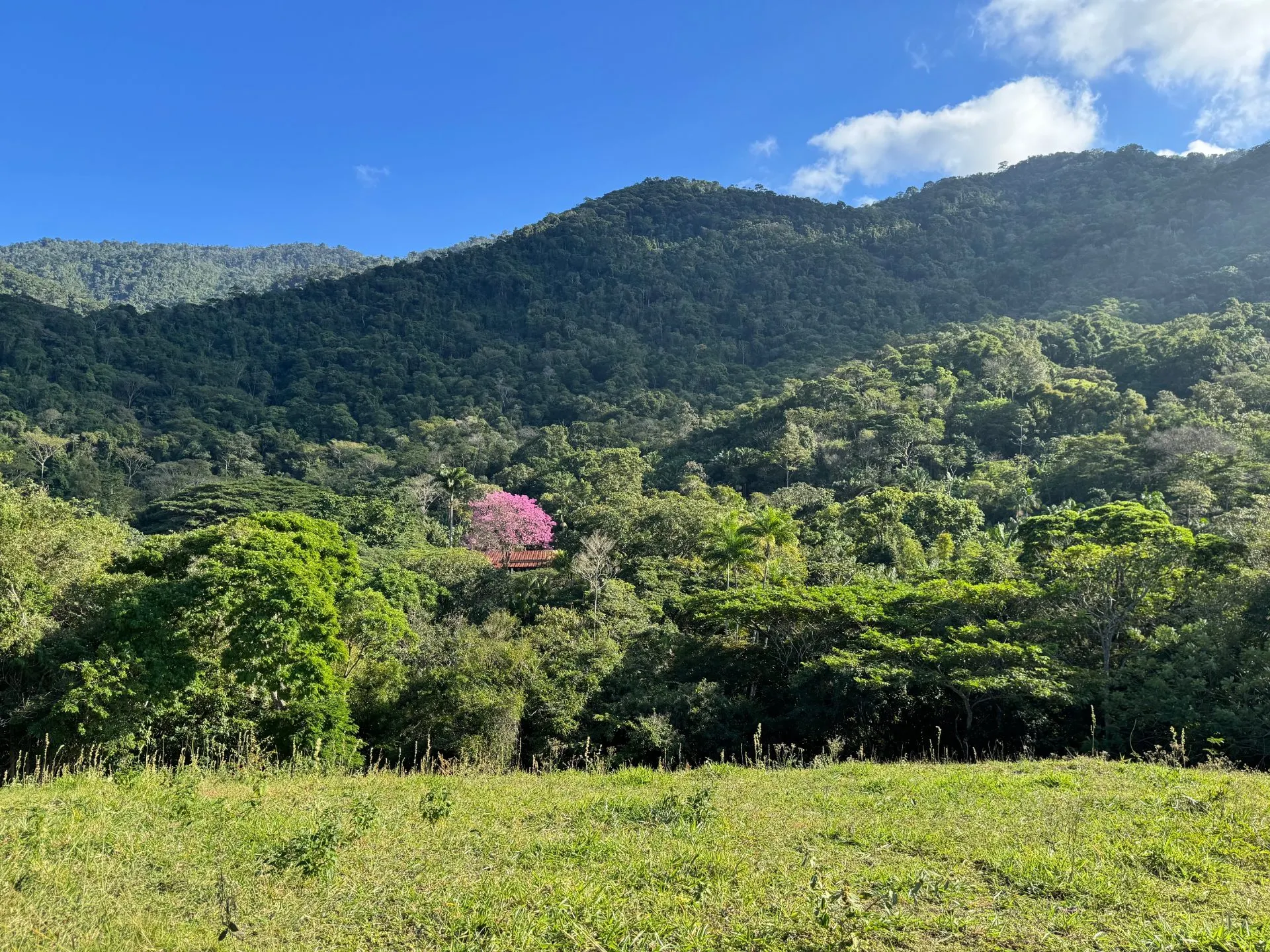 Sítio à venda de 85 ha em Rio de Janeiro, RJ, Brasil