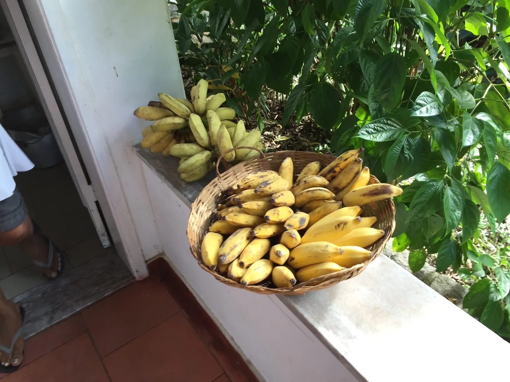 Sítio à venda de 85 ha em Rio de Janeiro, RJ, Brasil