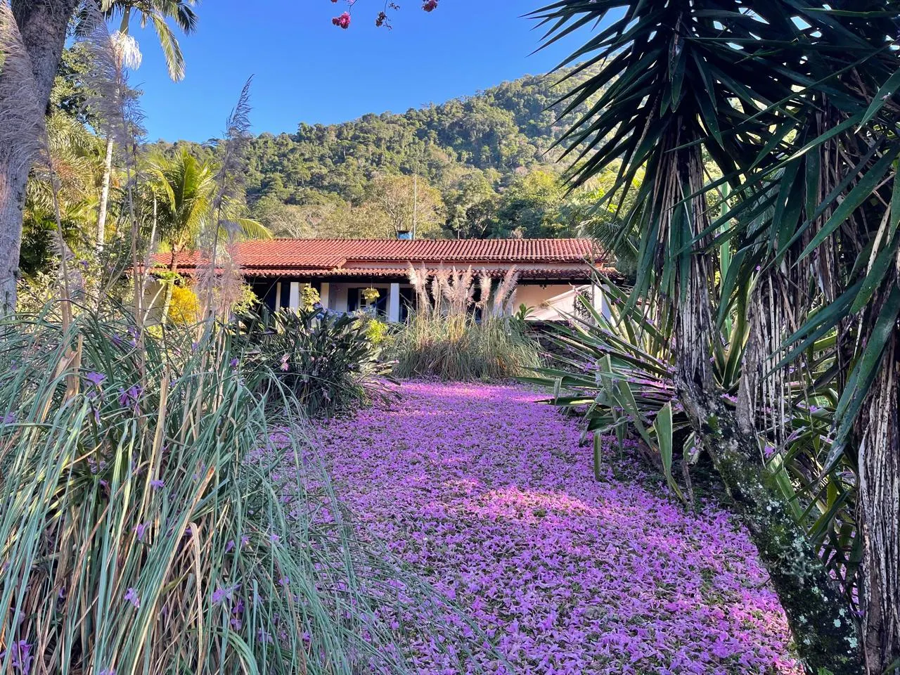 Sítio à venda de 85 ha em Rio de Janeiro, RJ, Brasil