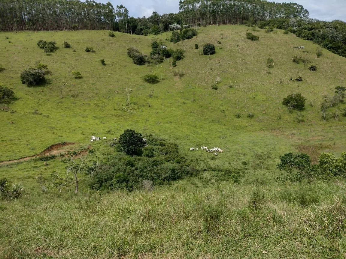 Fazenda à venda de 140 ha em Natividade da Serra, SP, Brasil