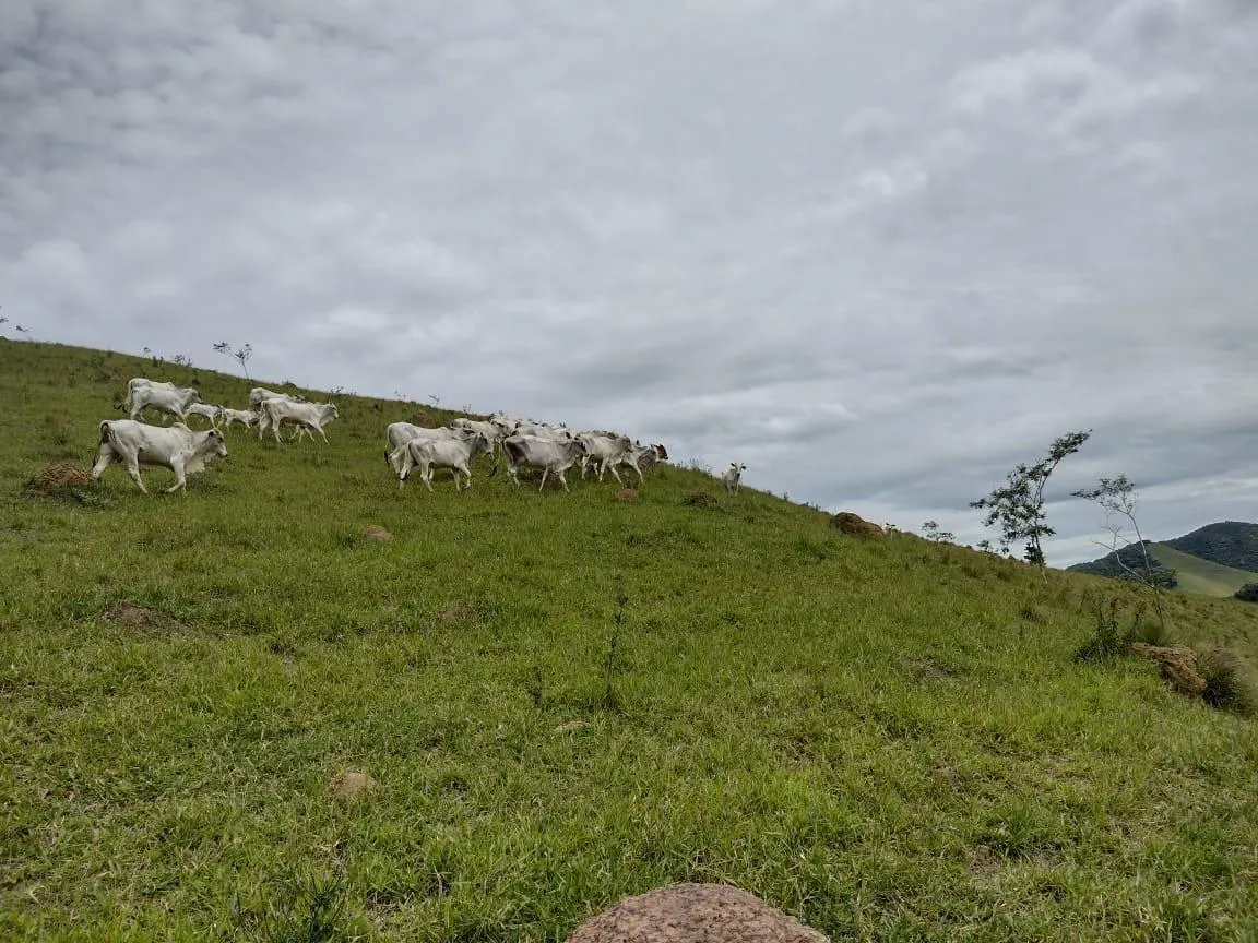 Fazenda à venda de 140 ha em Natividade da Serra, SP, Brasil