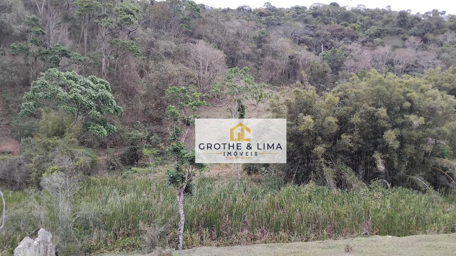 Small farm for sale of 150 acres in Cachoeira Paulista, SP, Brazil