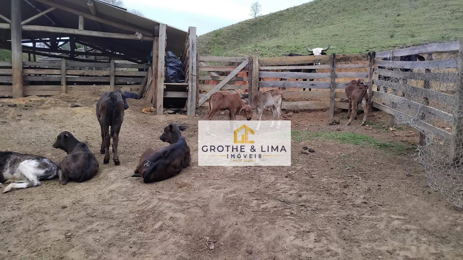 Small farm for sale of 150 acres in Cachoeira Paulista, SP, Brazil