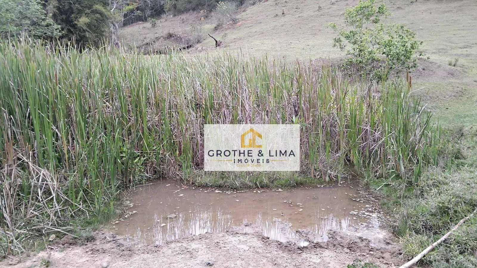 Small farm for sale of 150 acres in Cachoeira Paulista, SP, Brazil