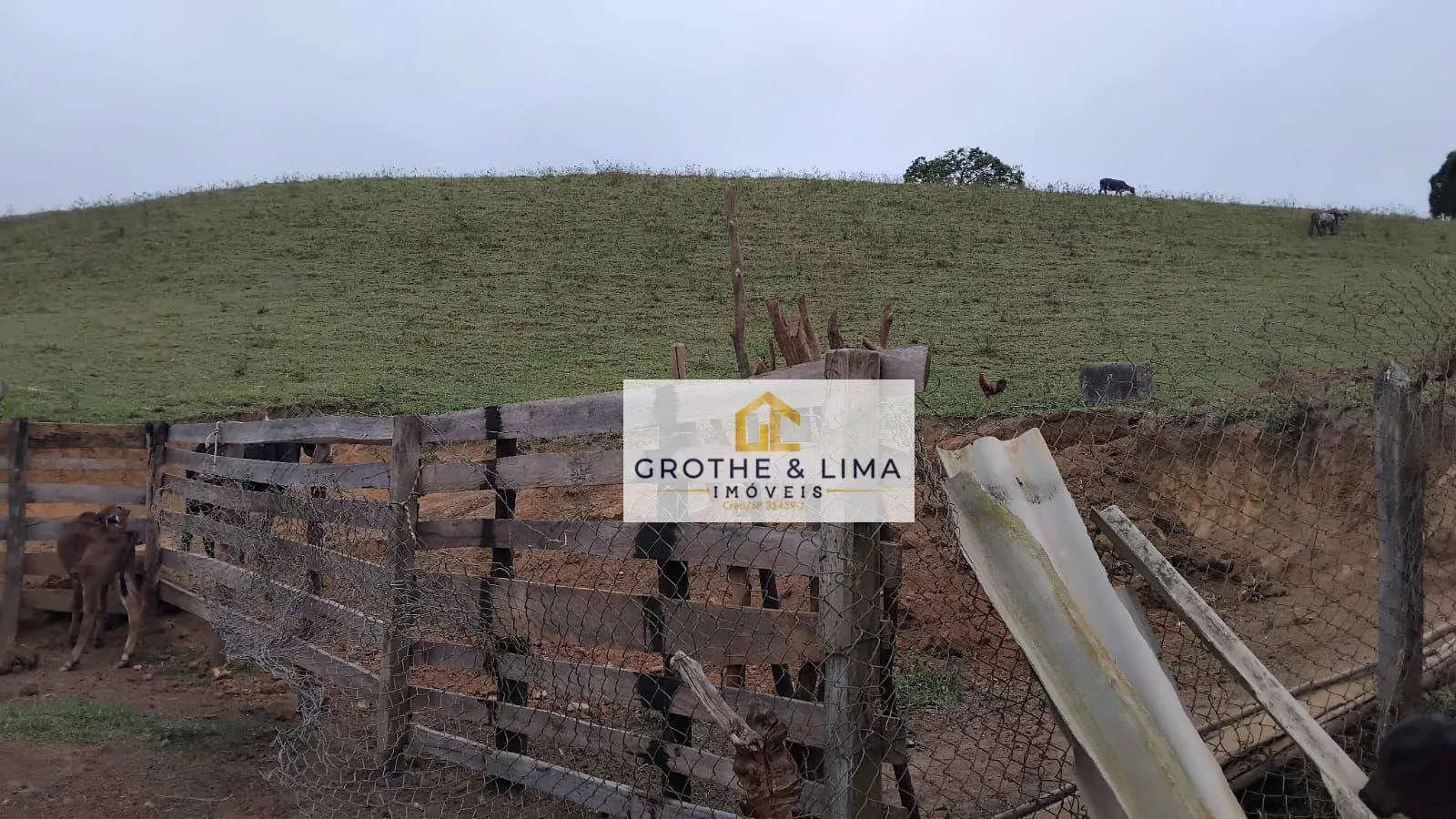 Small farm for sale of 150 acres in Cachoeira Paulista, SP, Brazil