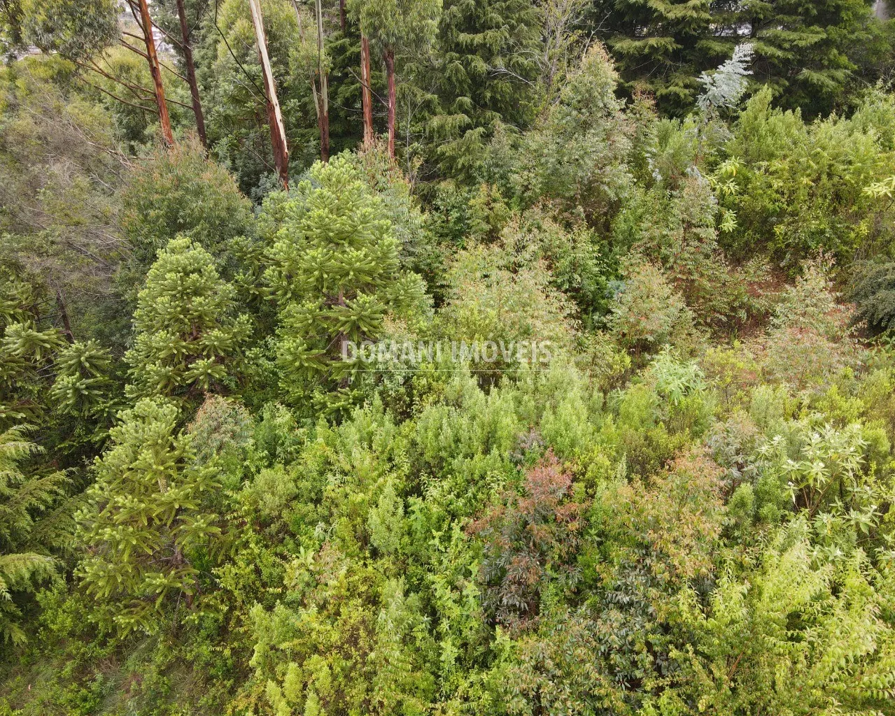 Terreno à venda de 740 m² em Campos do Jordão, SP, Brasil