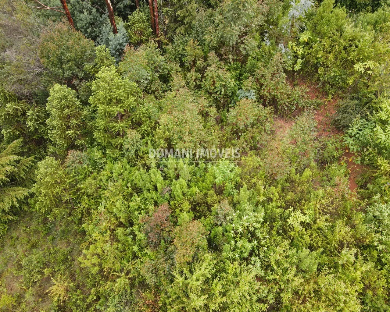 Terreno à venda de 740 m² em Campos do Jordão, SP, Brasil