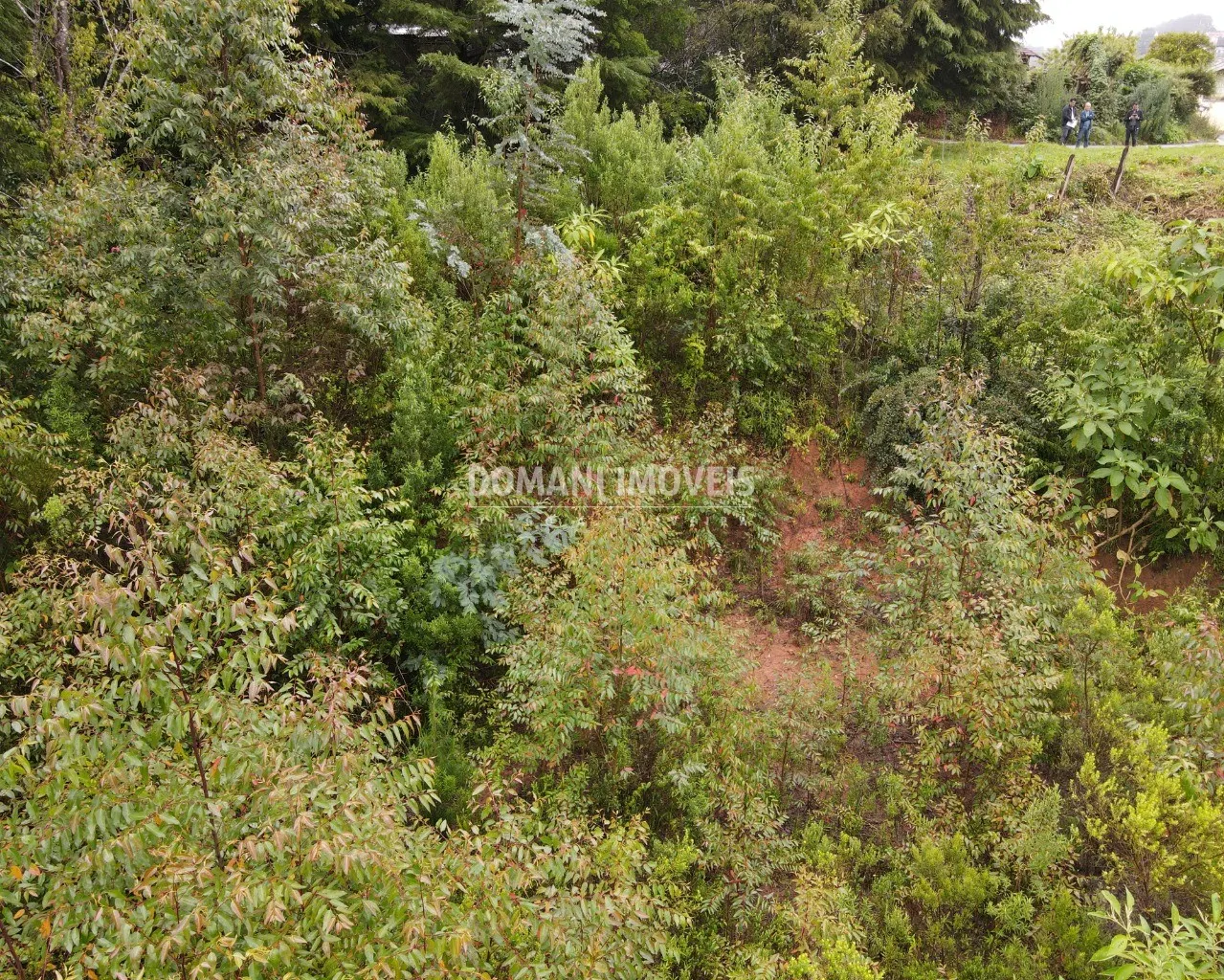 Terreno à venda de 740 m² em Campos do Jordão, SP, Brasil