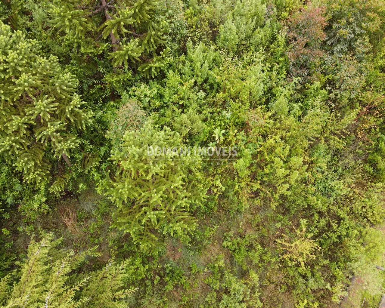 Terreno à venda de 740 m² em Campos do Jordão, SP, Brasil