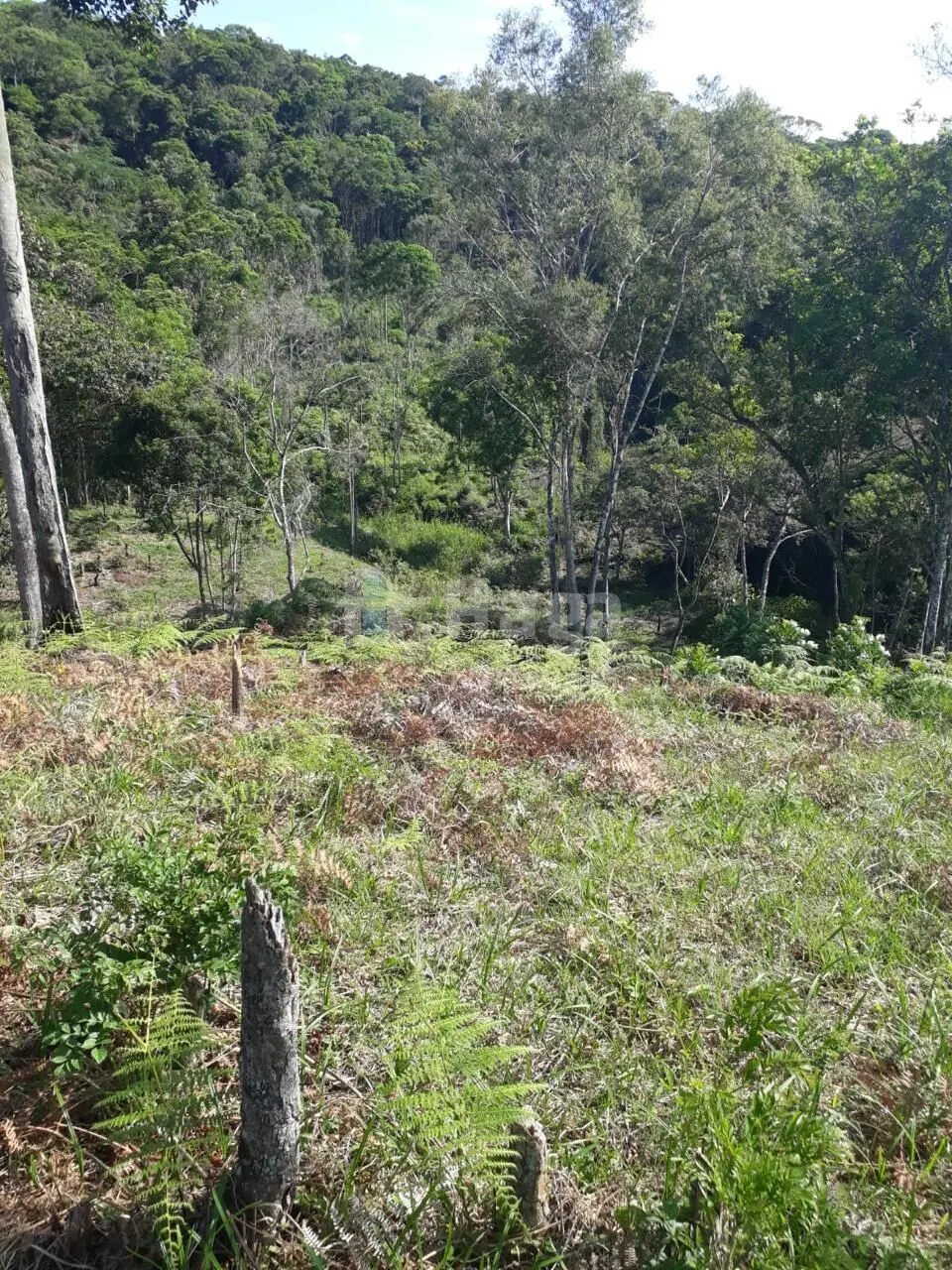 Chácara à venda de 2 ha em São João Batista, SC, Brasil