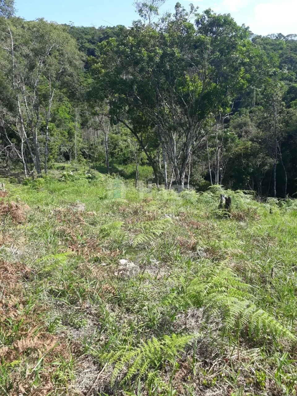 Chácara à venda de 2 ha em São João Batista, SC, Brasil