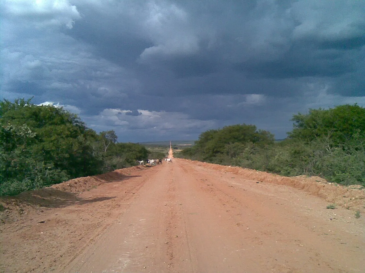 Terreno à venda e para Arrendar de 800 ha em Ibimirim, PE, Brasil