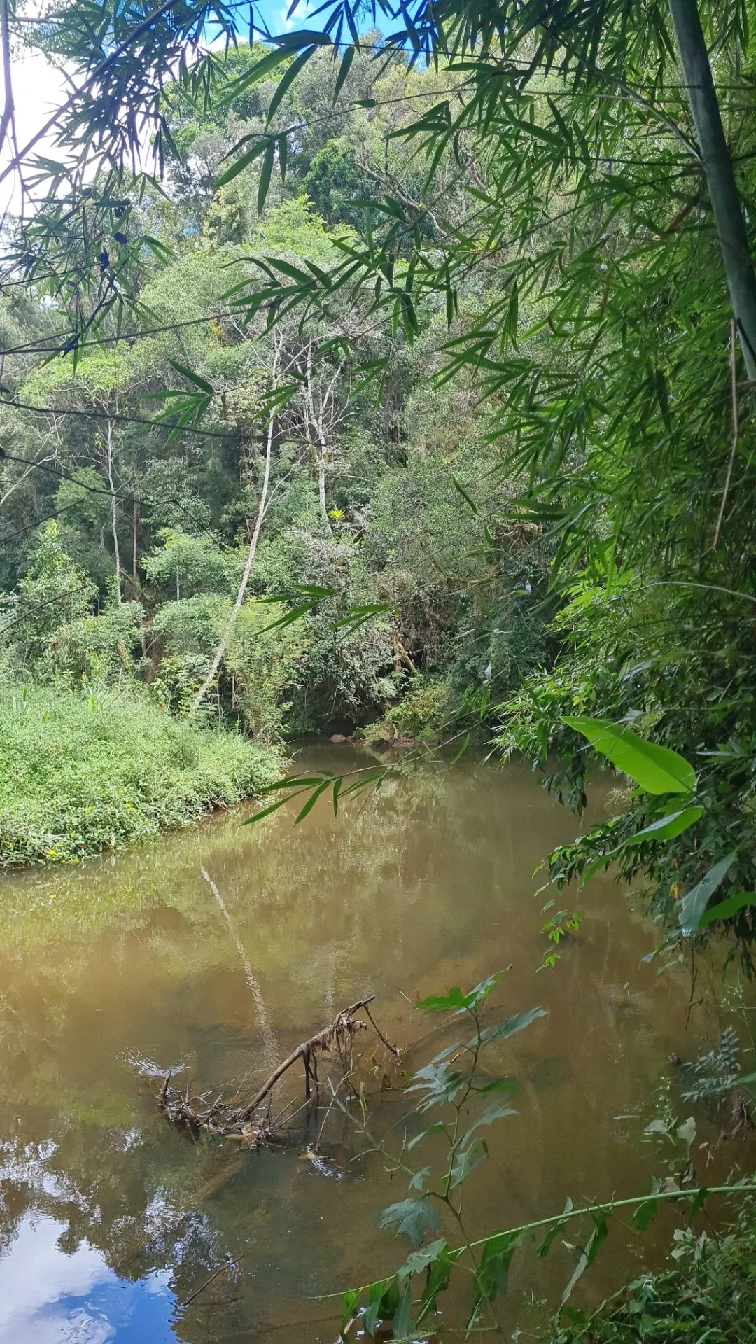 Sítio à venda de 10 ha em Cunha, SP, Brasil