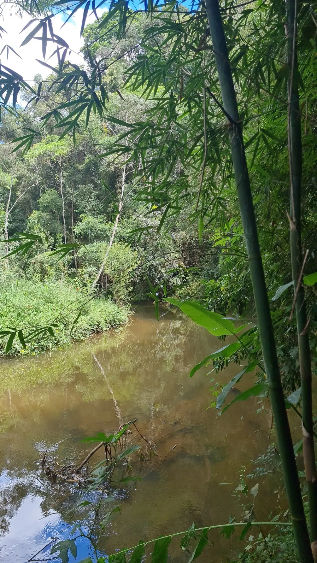 Sítio à venda de 10 ha em Cunha, SP, Brasil