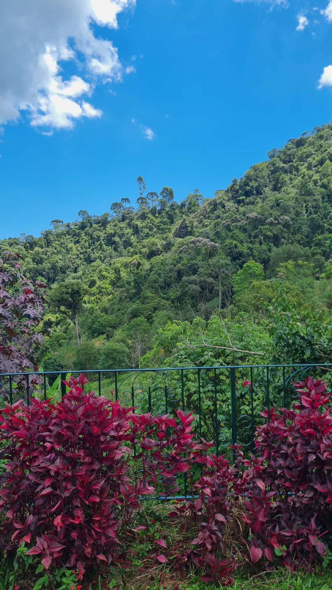 Sítio à venda de 10 ha em Cunha, SP, Brasil