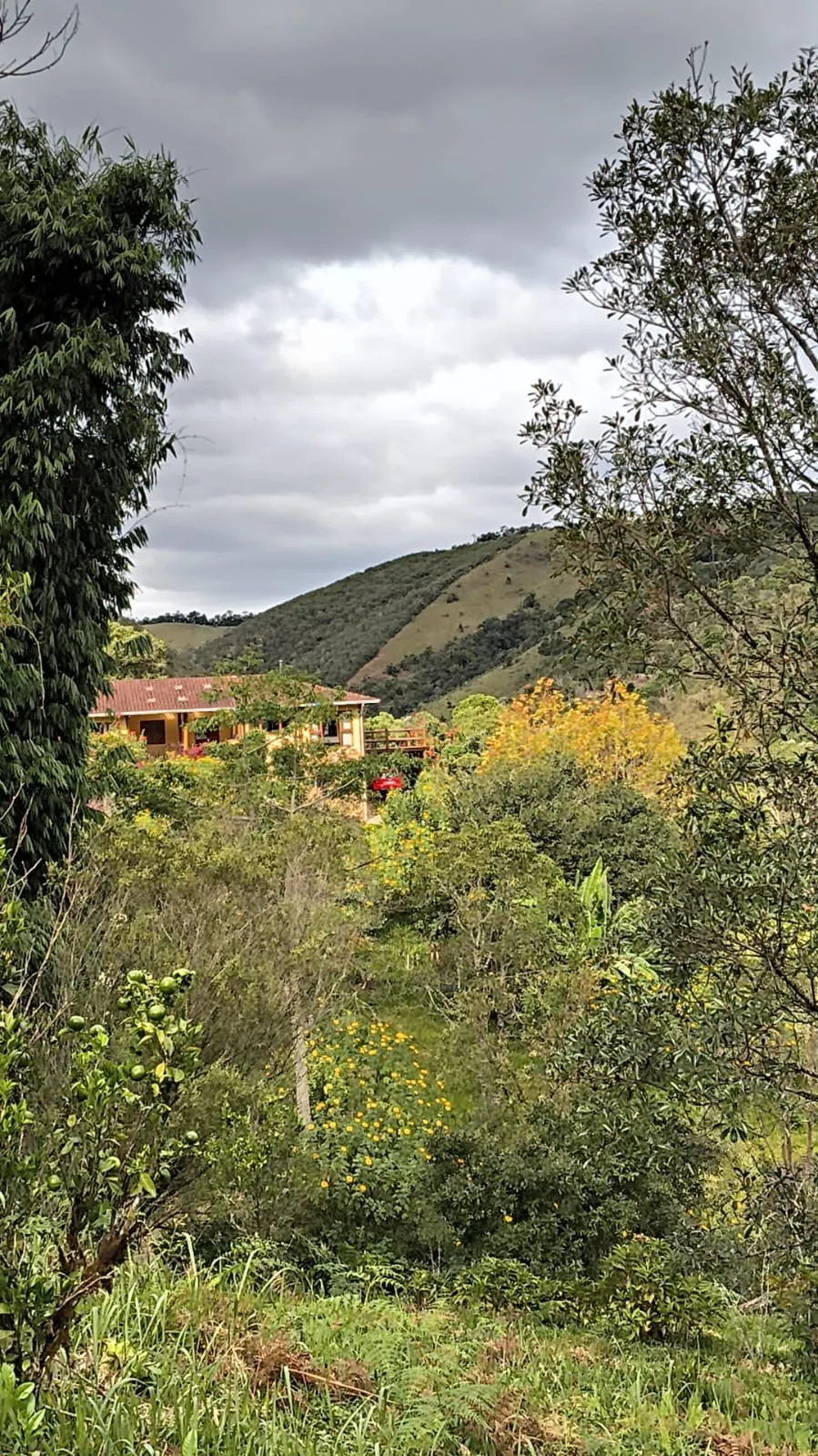 Sítio à venda de 10 ha em Cunha, SP, Brasil