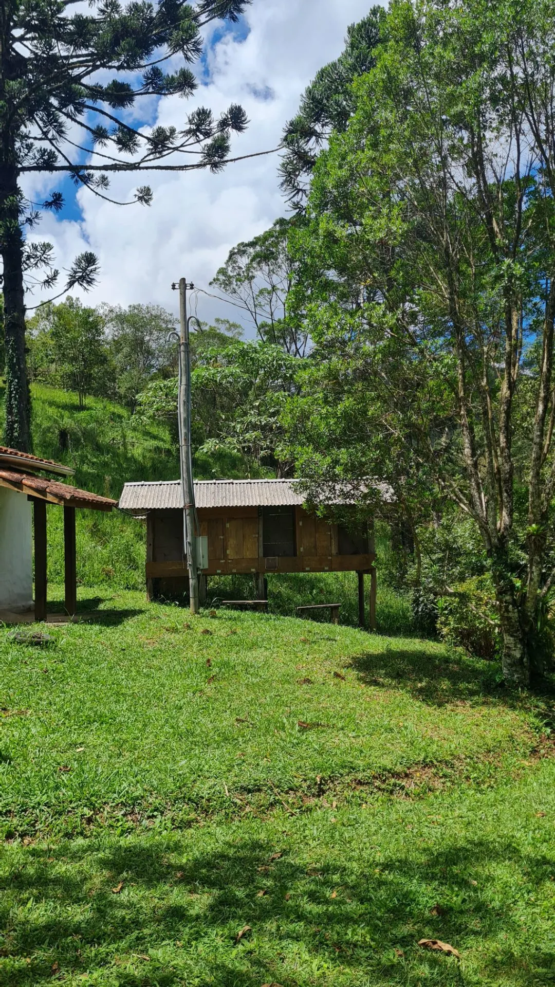 Sítio à venda de 10 ha em Cunha, SP, Brasil