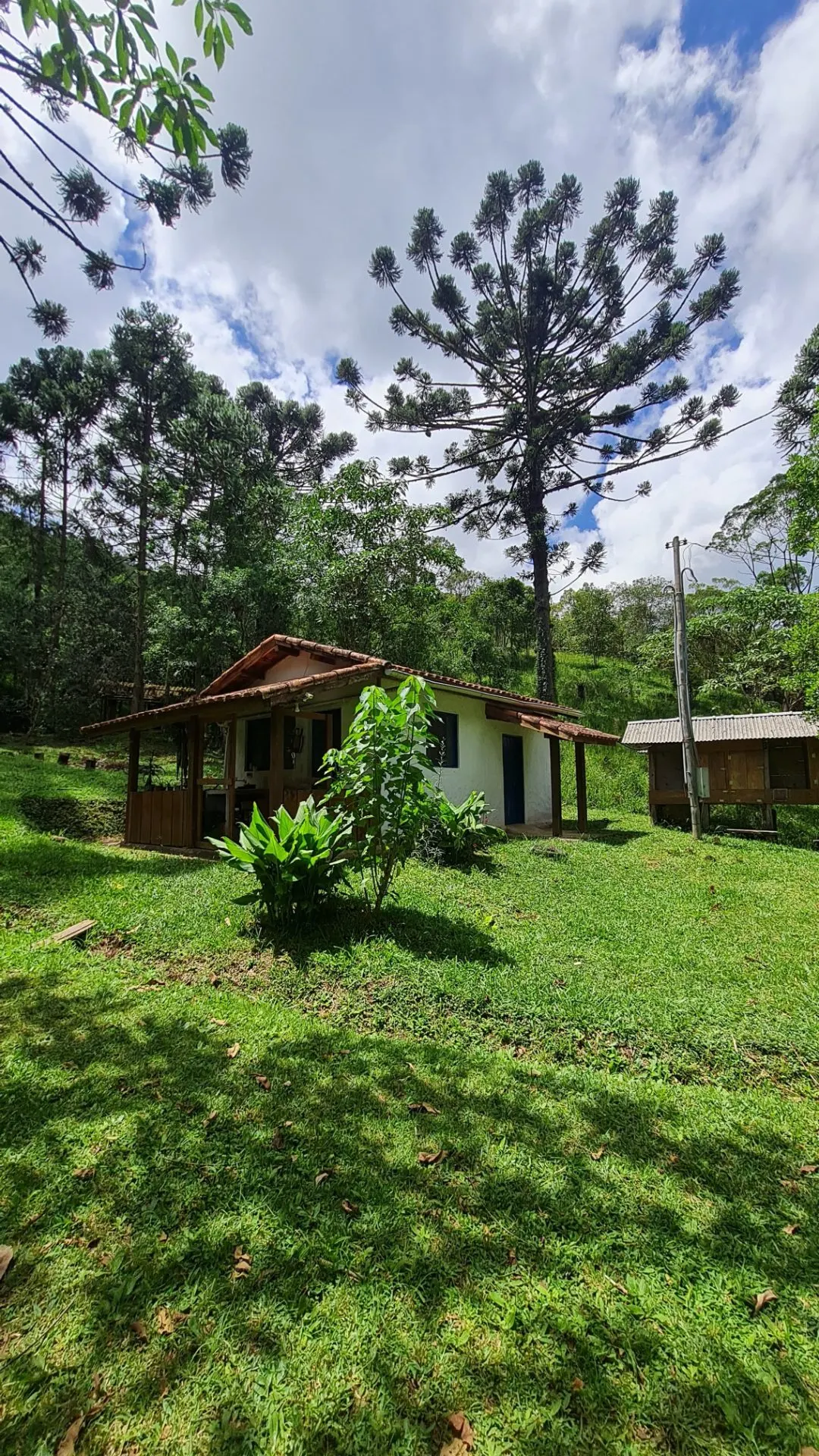 Sítio à venda de 10 ha em Cunha, SP, Brasil