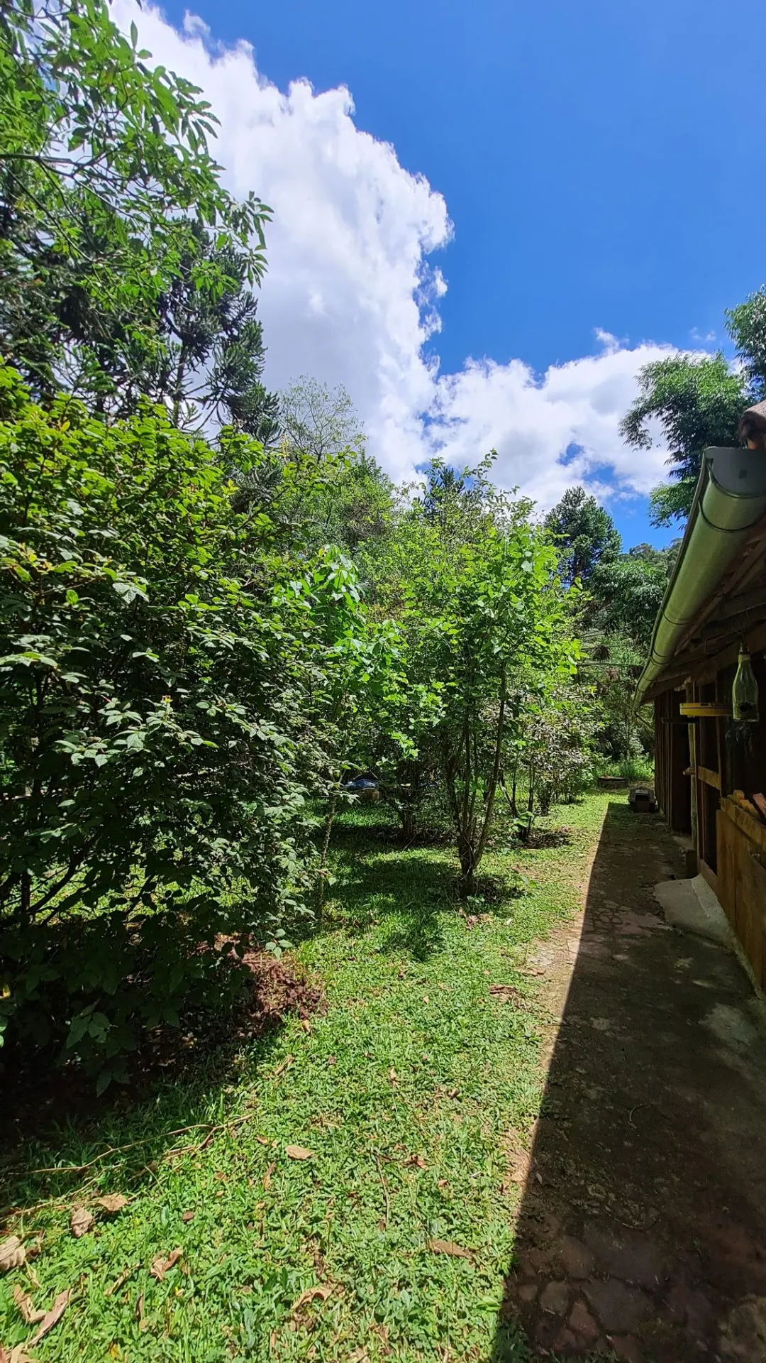 Sítio à venda de 10 ha em Cunha, SP, Brasil