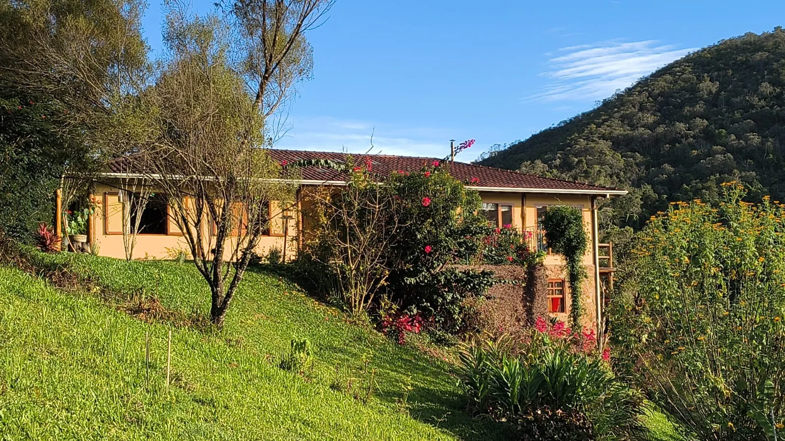 Sítio à venda de 10 ha em Cunha, SP, Brasil