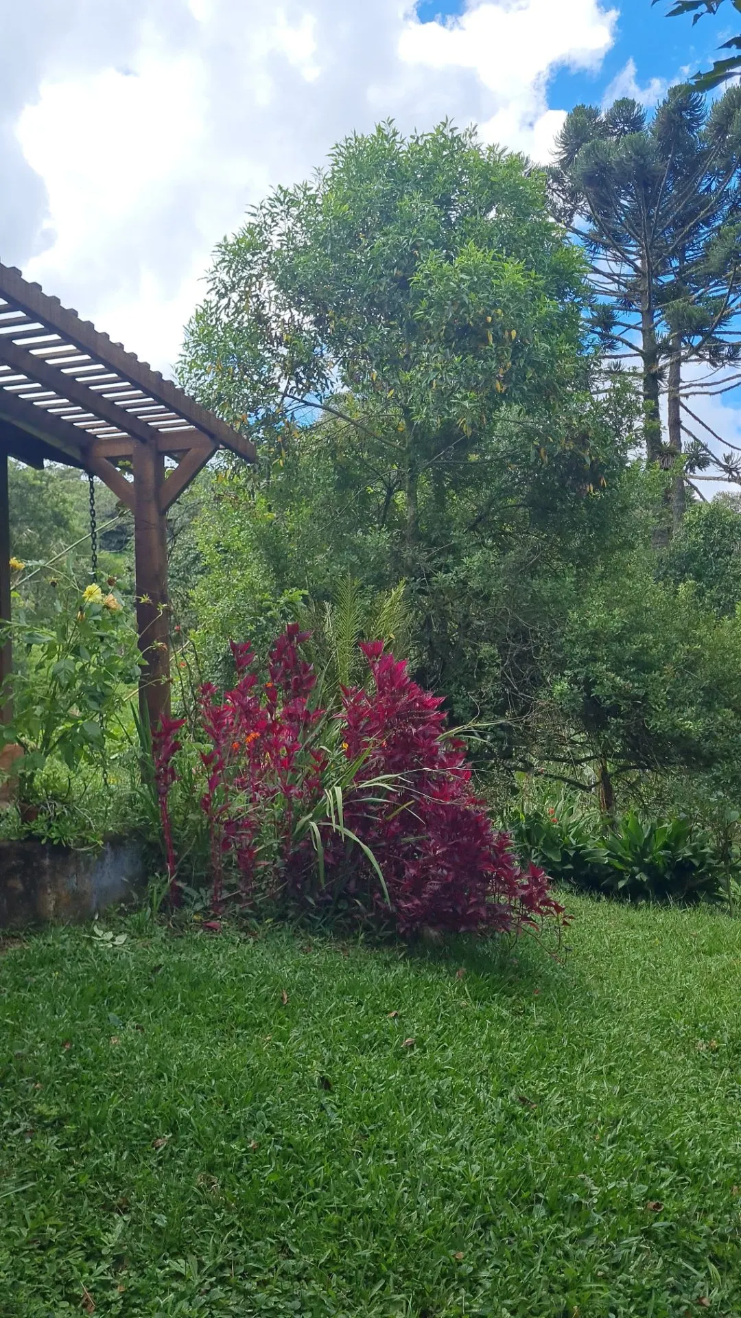 Sítio à venda de 10 ha em Cunha, SP, Brasil