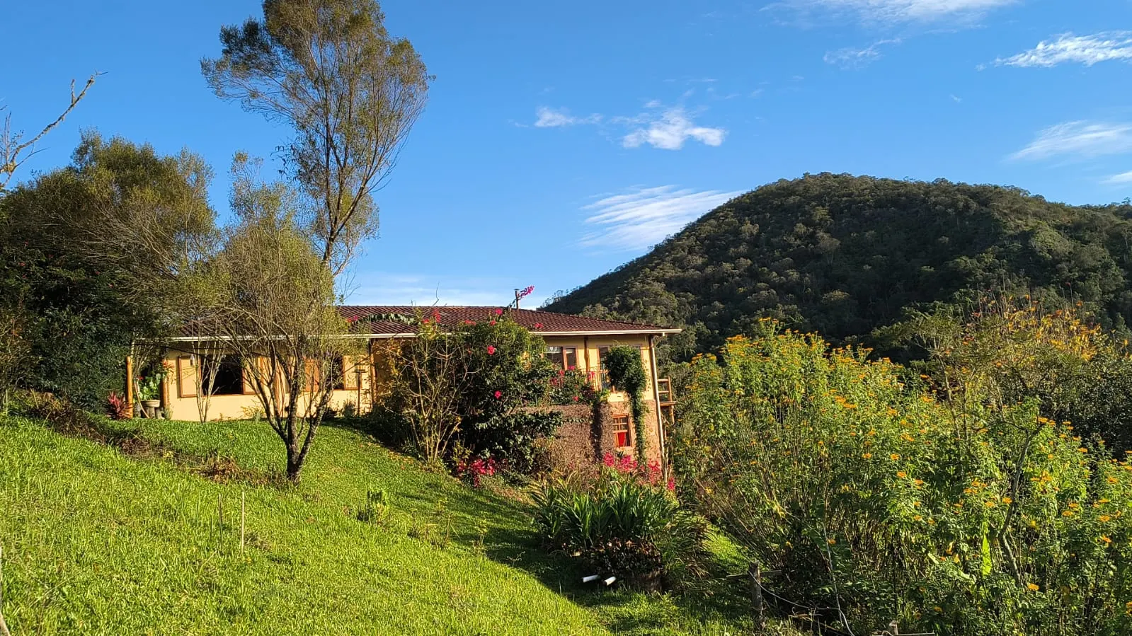 Sítio à venda de 10 ha em Cunha, SP, Brasil