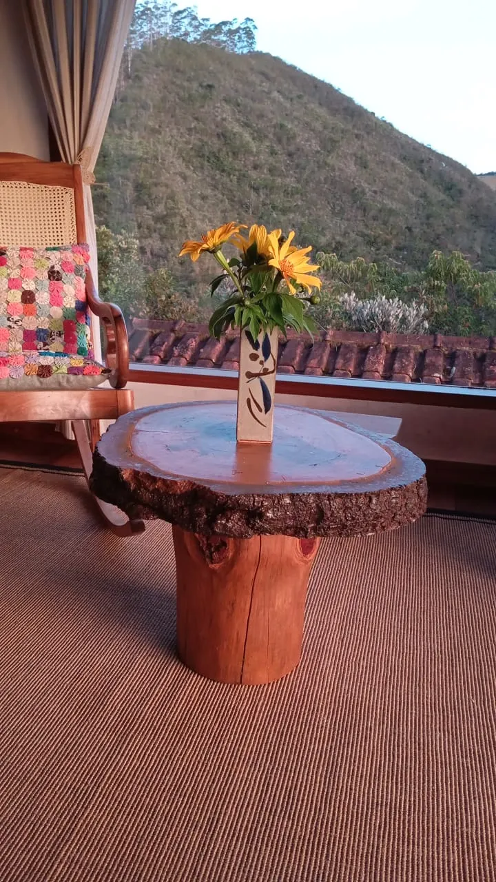 Sítio à venda de 10 ha em Cunha, SP, Brasil