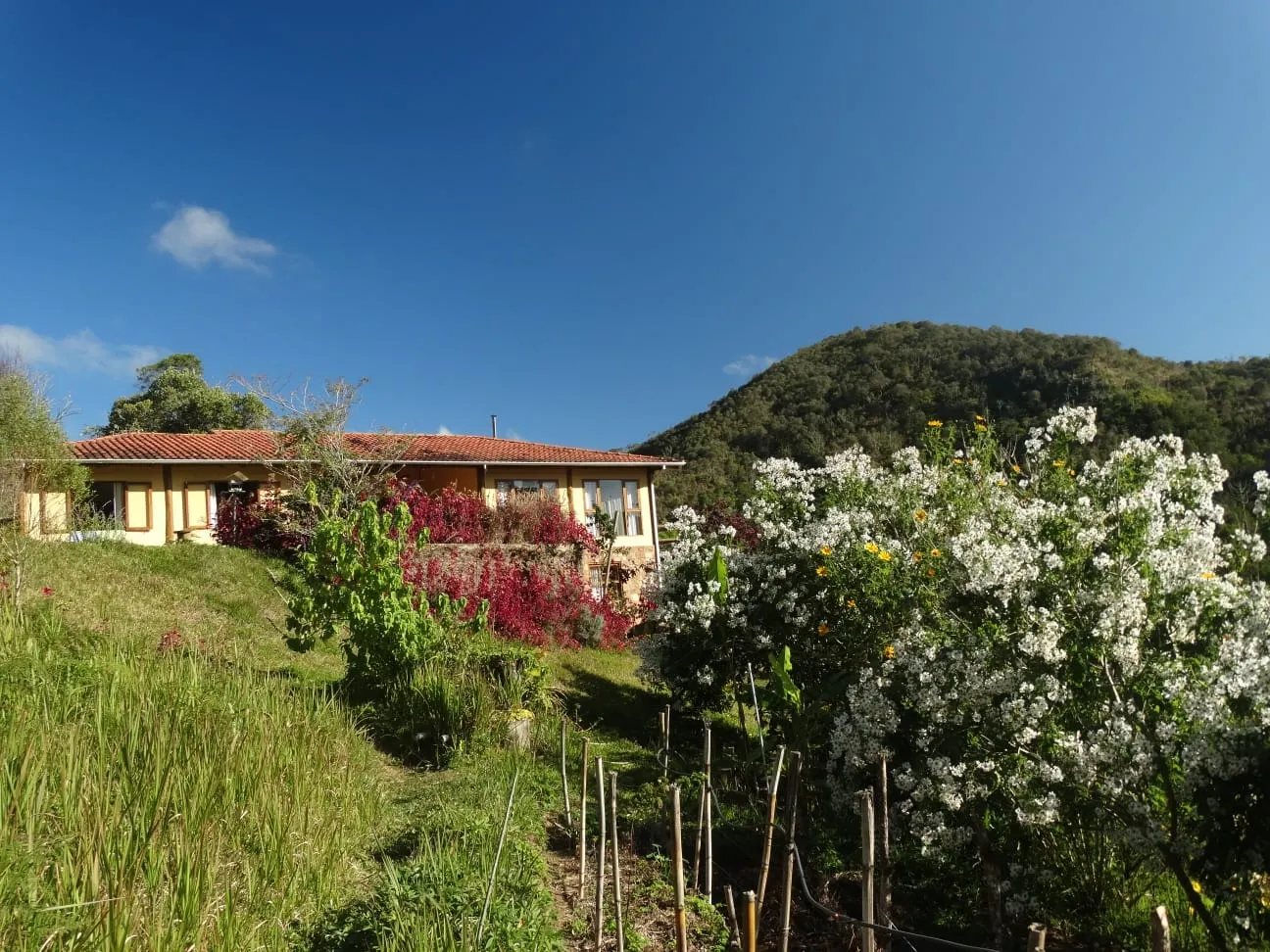 Sítio à venda de 10 ha em Cunha, SP, Brasil