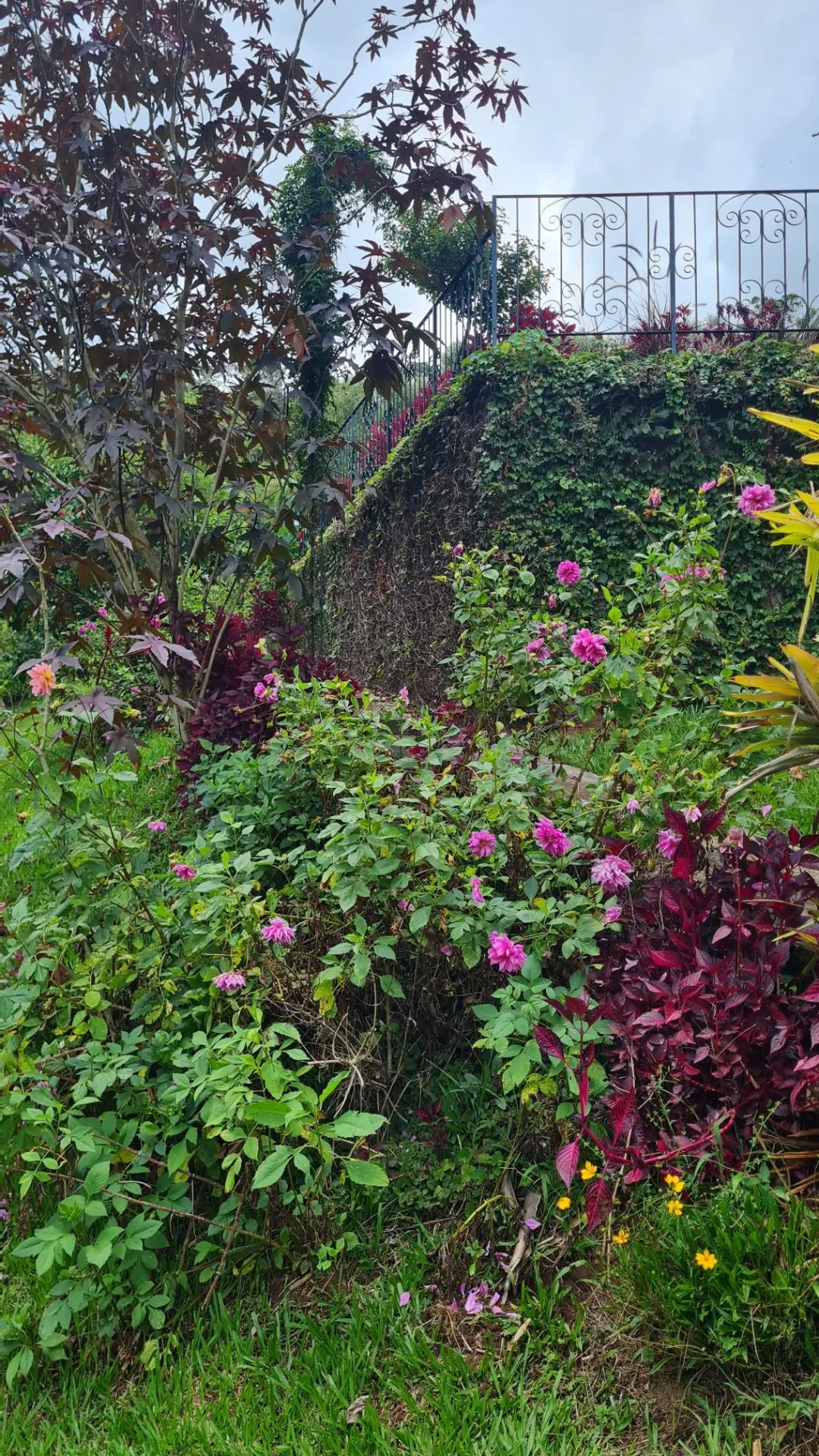 Sítio à venda de 10 ha em Cunha, SP, Brasil