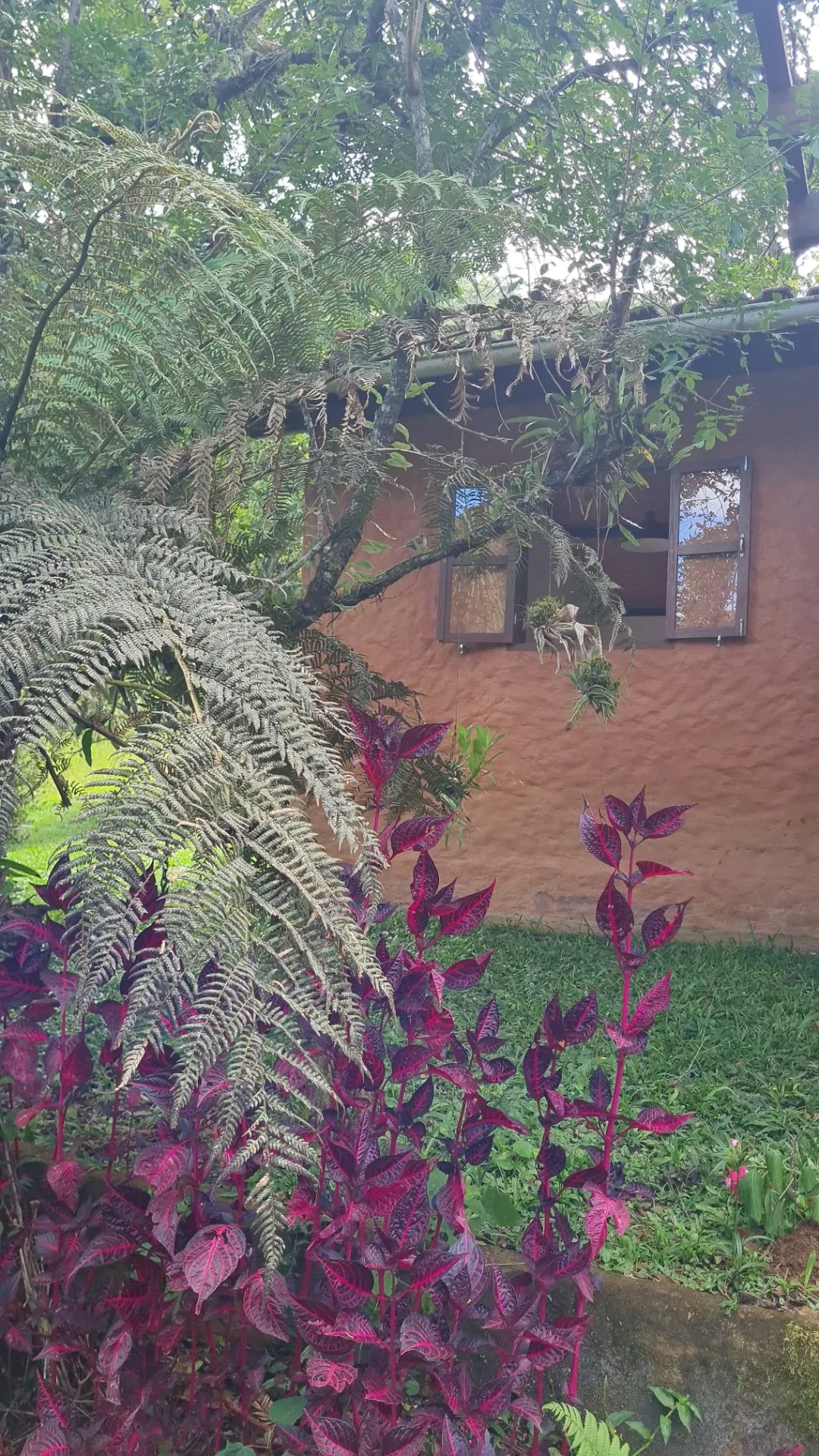 Sítio à venda de 10 ha em Cunha, SP, Brasil