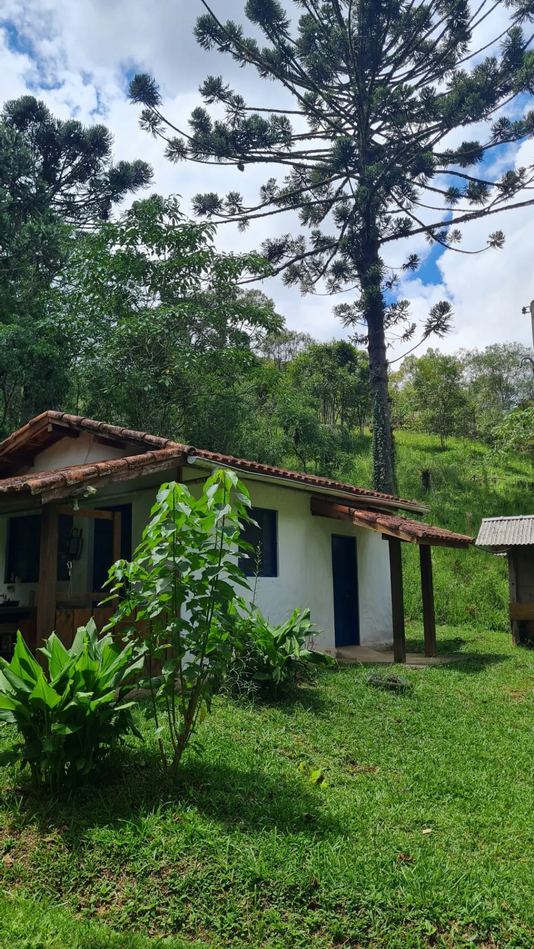 Sítio à venda de 10 ha em Cunha, SP, Brasil