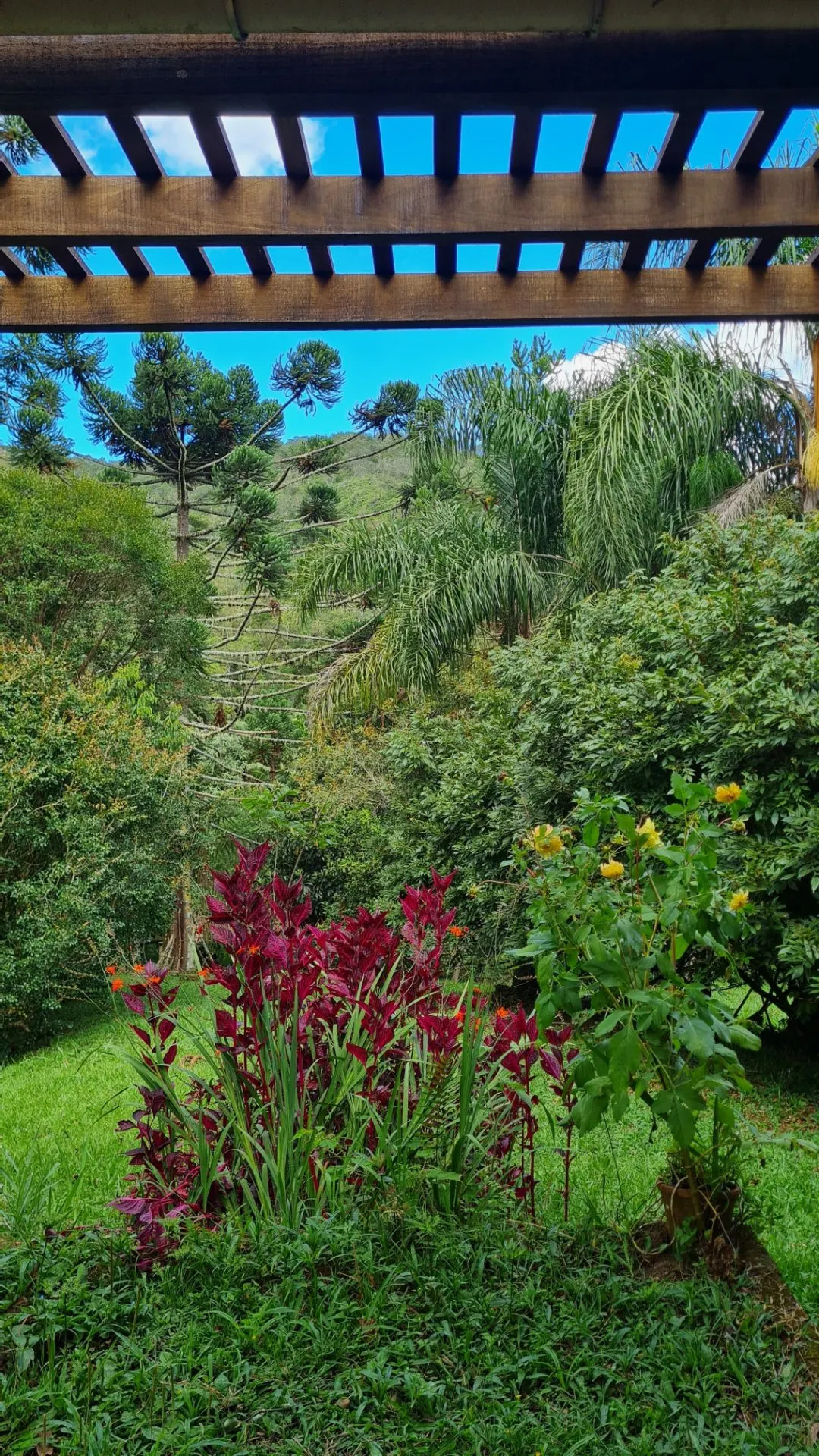 Sítio à venda de 10 ha em Cunha, SP, Brasil