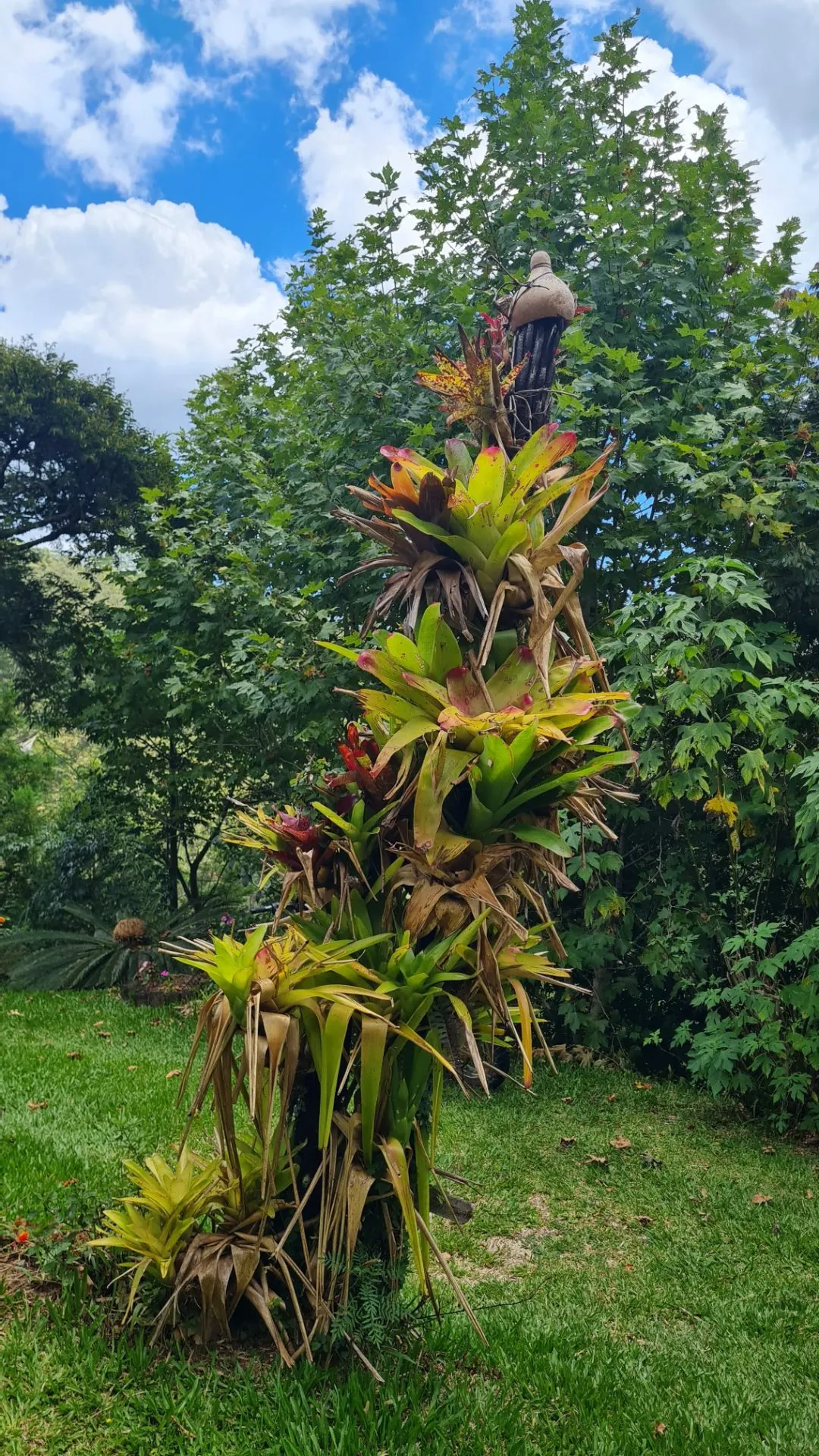 Sítio à venda de 10 ha em Cunha, SP, Brasil