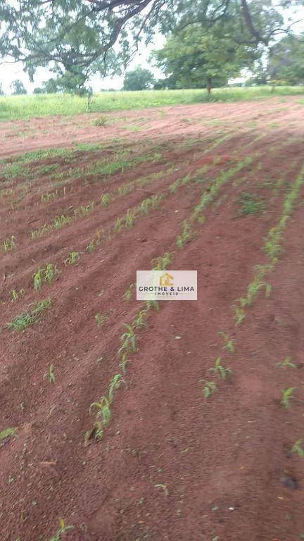Fazenda à venda de 413 ha em Três Lagoas, MS, Brasil