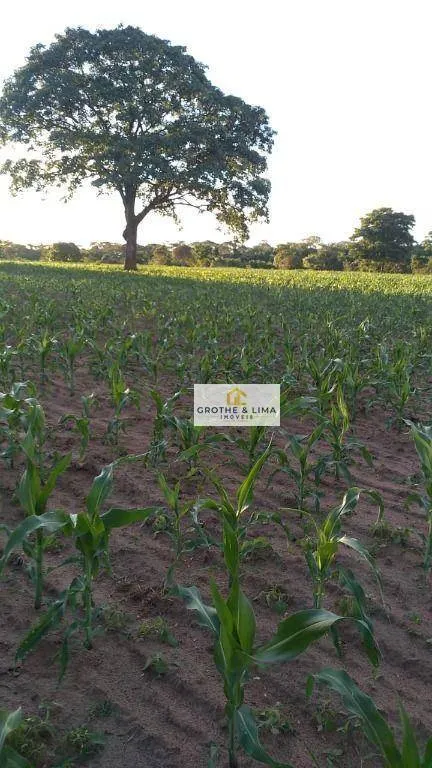 Fazenda à venda de 413 ha em Três Lagoas, MS, Brasil