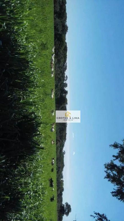 Fazenda à venda de 413 ha em Três Lagoas, MS, Brasil