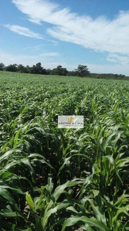Fazenda à venda de 413 ha em Três Lagoas, MS, Brasil