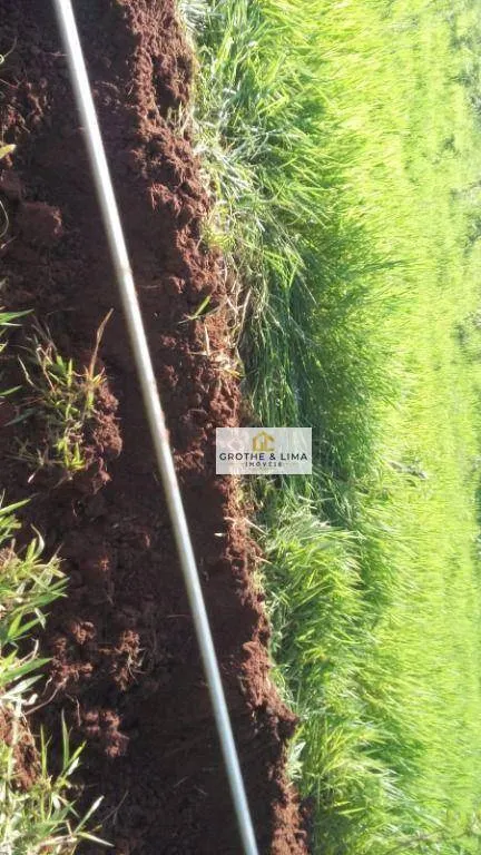 Fazenda à venda de 413 ha em Três Lagoas, MS, Brasil