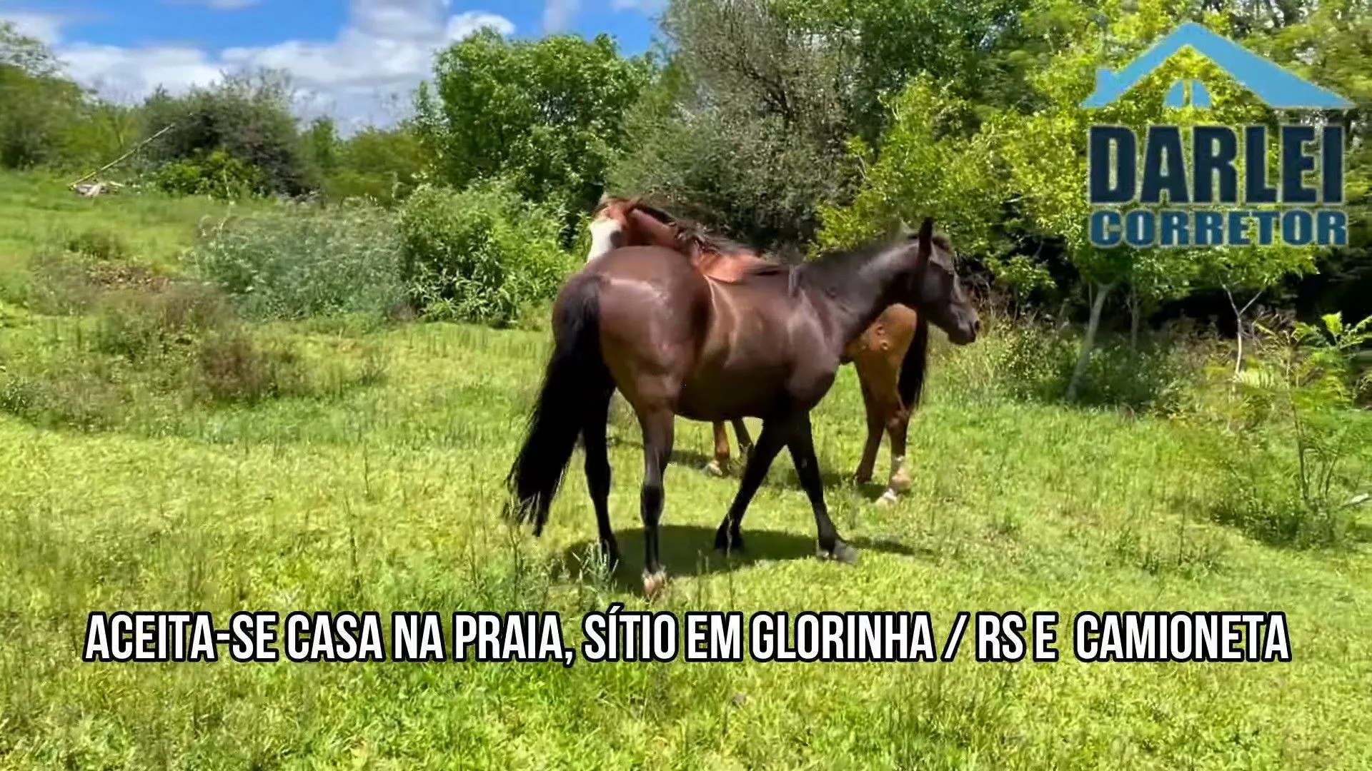 Small farm for sale of 7 acres in Gravataí, RS, Brazil