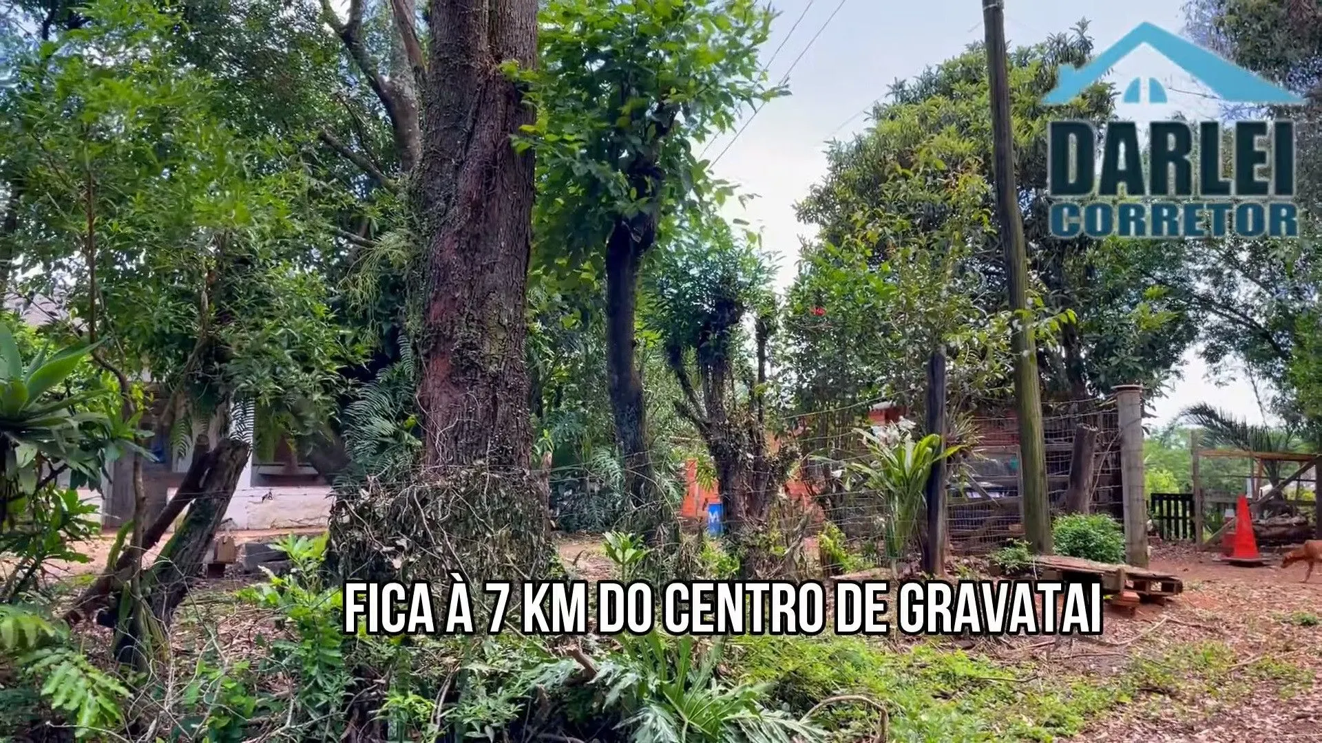 Small farm for sale of 7 acres in Gravataí, RS, Brazil