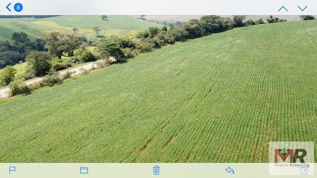 Fazenda à venda de 440 ha em Minduri, MG, Brasil