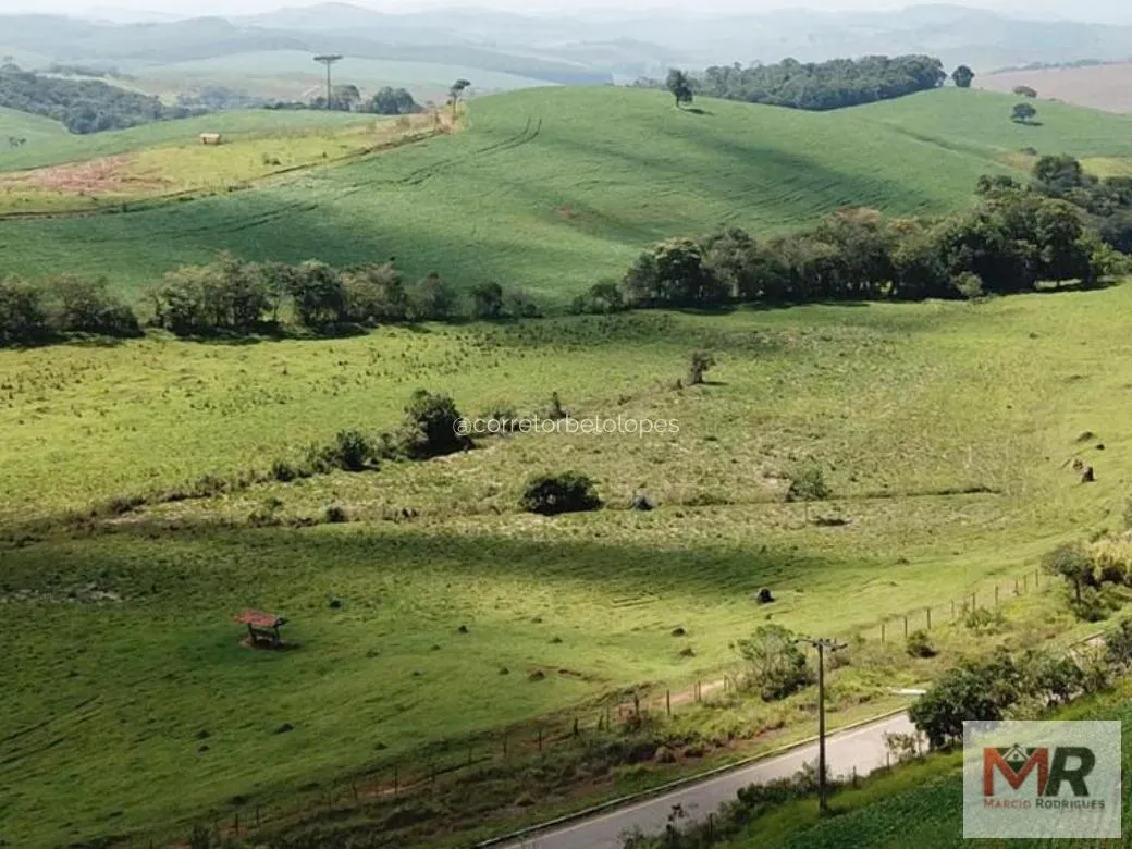Fazenda à venda de 440 ha em Minduri, MG, Brasil