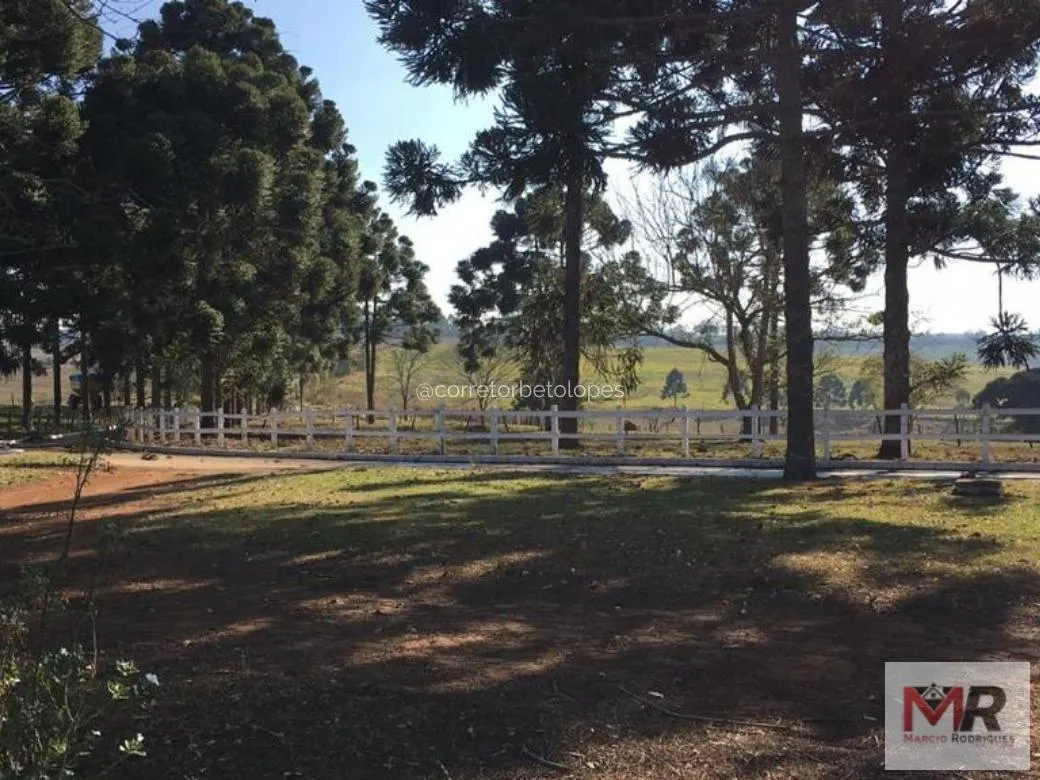 Fazenda à venda de 440 ha em Minduri, MG, Brasil