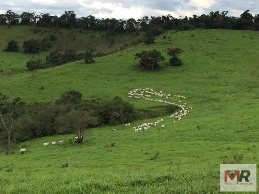 Fazenda à venda de 440 ha em Minduri, MG, Brasil