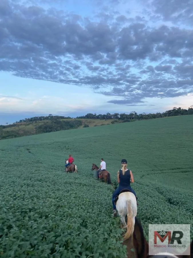 Fazenda à venda de 440 ha em Minduri, MG, Brasil