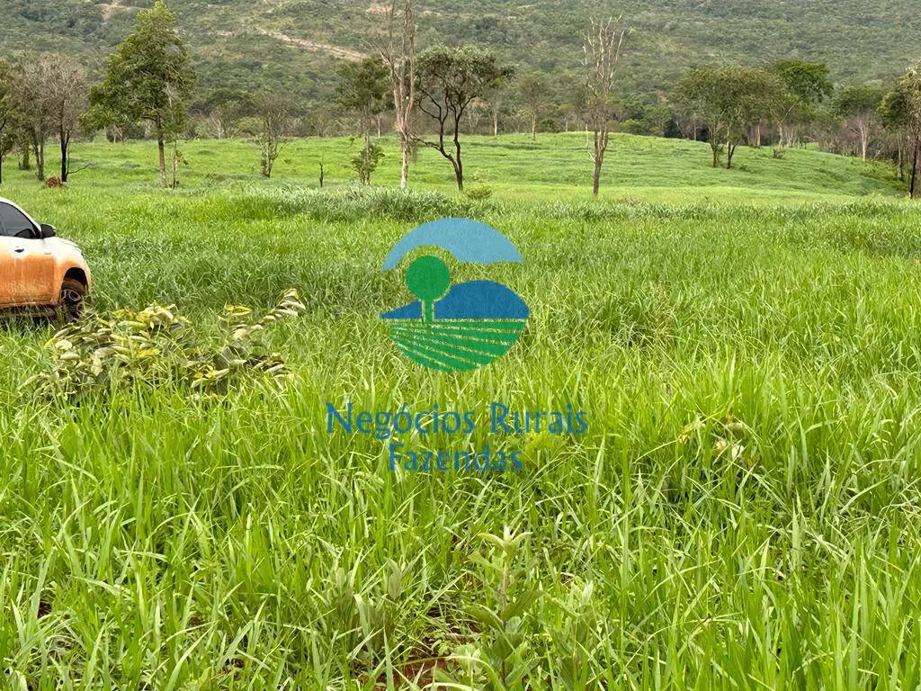 Fazenda à venda de 484 ha em Pirenópolis, GO, Brasil