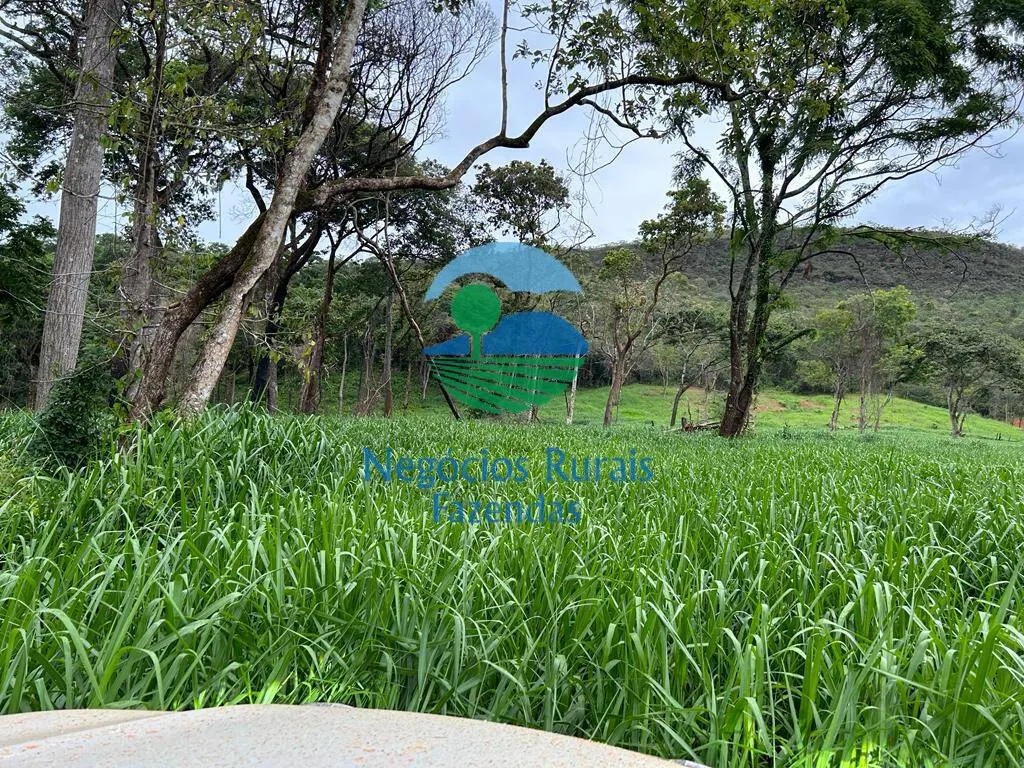 Fazenda à venda de 484 ha em Pirenópolis, GO, Brasil