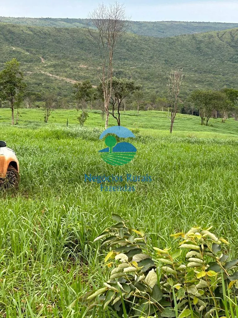 Fazenda à venda de 484 ha em Pirenópolis, GO, Brasil