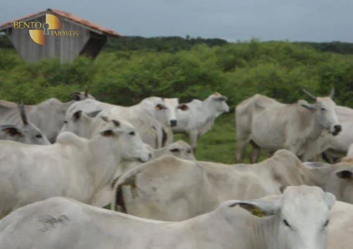Fazenda à venda de 88.000 ha em Poconé, MT, Brasil